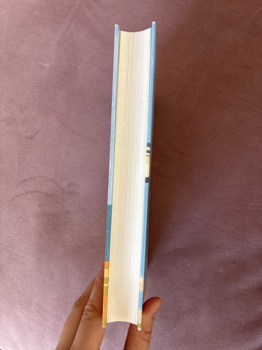 Libri: Elizabeth Strout Am Meer – Nuovo (secondo la descrizione) da Walenstadt venduto da bedina92 2