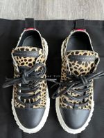 Giuseppe Zanotti Sneakers Gr. 38 Leopard Leder Schuhe