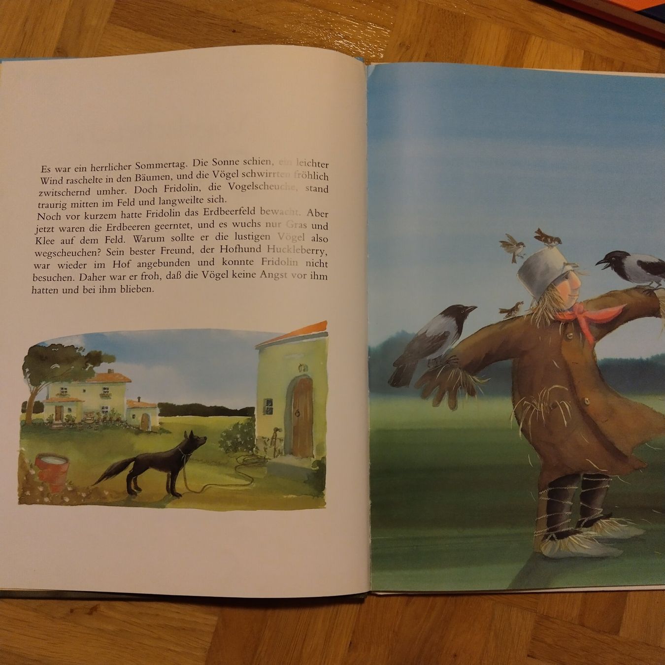Bücher: Vogelscheuche Fridolin Kinderbuch – Gebraucht aus Oberdorf NW von niederj 2