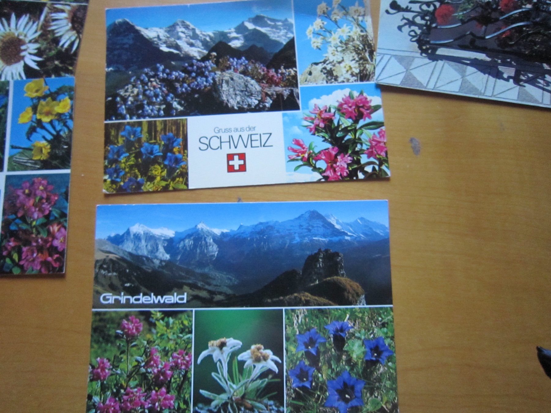 Ansichtskarten: No 2 Postkarten Bergblumen – Gebraucht aus Gordola von Polentaefung 8