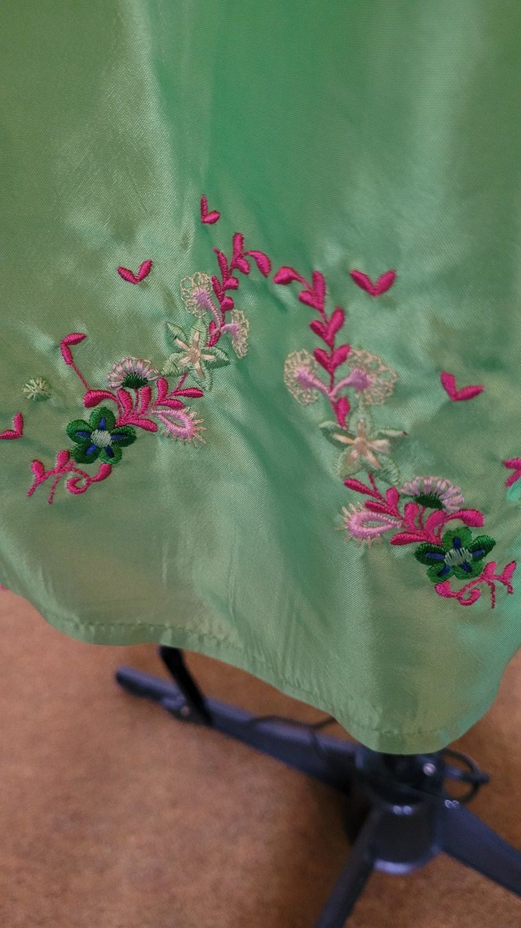Vestiti: Dirndl Stockerpoint Apfelgrün Gr. 38 – Nuovo (secondo la descrizione) da SCHÜBELBACH venduto da CoKaHa 4