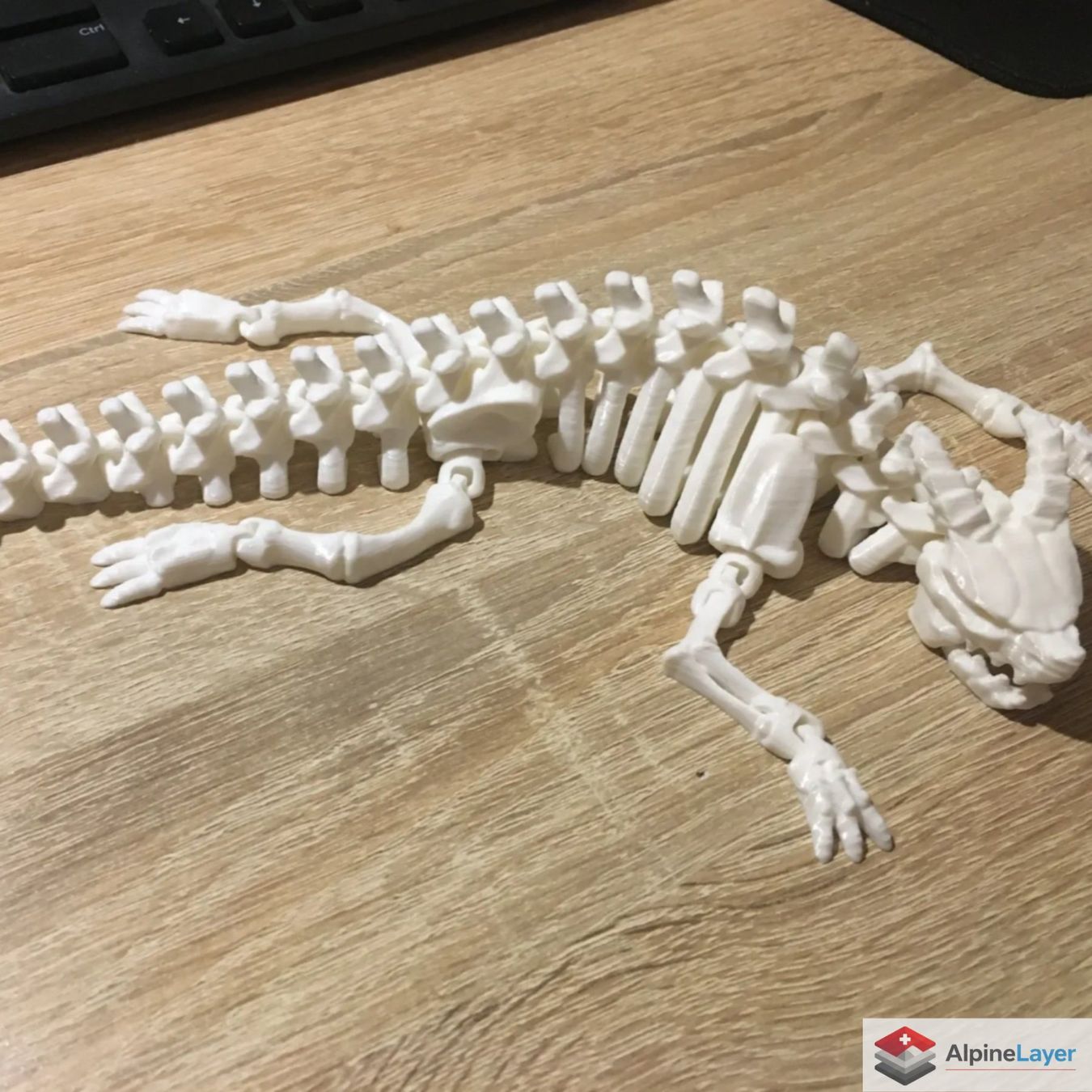 Giocattoli: Articulated Skeleton Dragon 3D Printed Figure White – Nuovo (secondo la descrizione) da Losone venduto da AlpineLayer