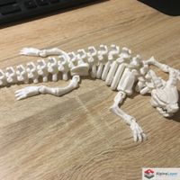 Articulated Skeleton Dragon 3D Printed Figure White