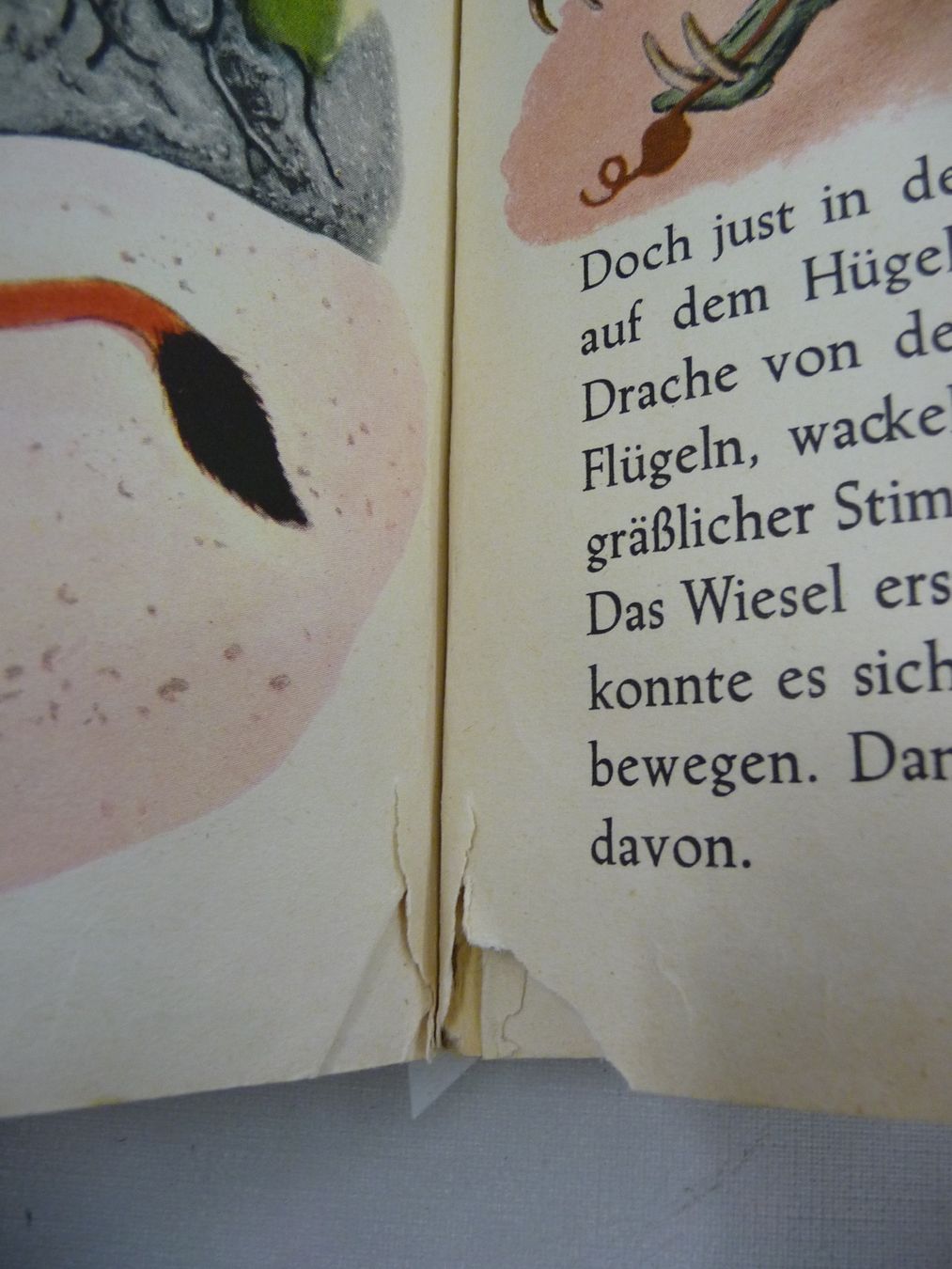 Libri: Buch: Das übermütige Kaninchen – Usato da Rafz venduto da Powacaddy 7