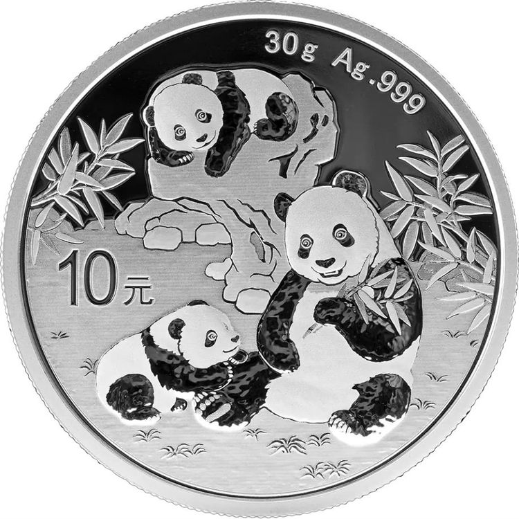 China 10 Yuan 2025 Panda 30 Gramm Kaufen auf Ricardo