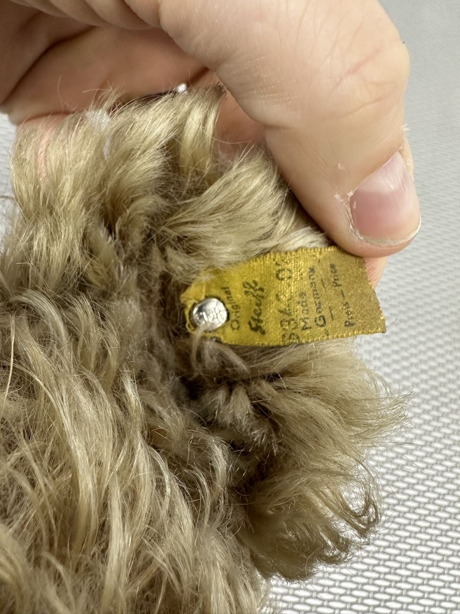 Steiff Giocattoli: Steiff Teddybär, Original – Usato da Montlingen venduto da Kingpisch 1
