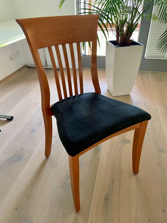28 Gastro Stühle Kaufen auf Ricardo