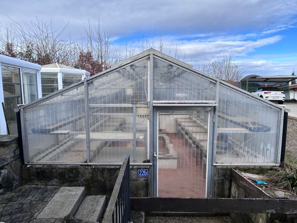 Casette da giardino & serre: Gewächshaus Treibhaus – Usato da Giswil venduto da 2059rudolf 1