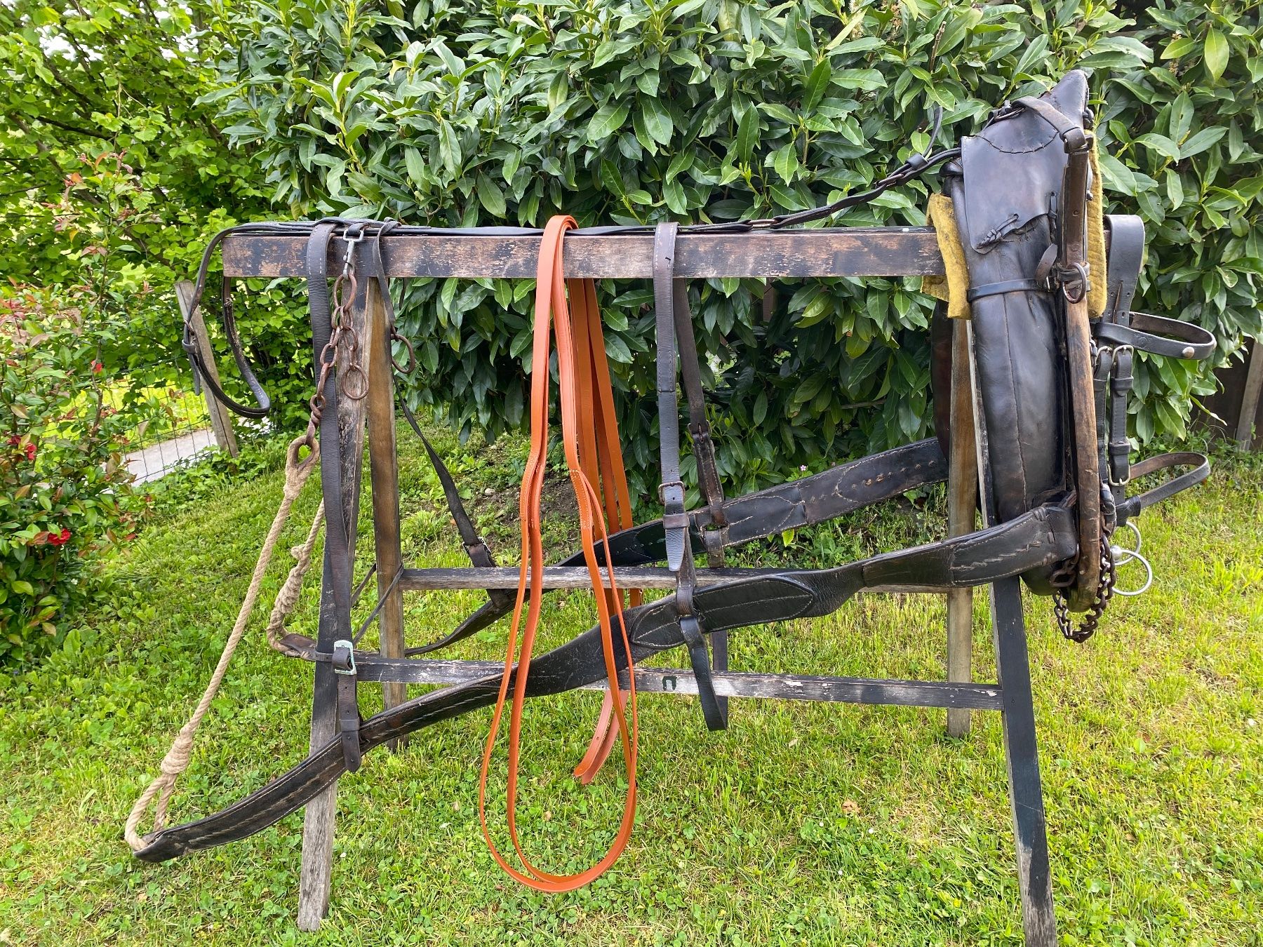 Campanacci mucche: schönes Bündnergeschirr – Usato da Feldbach venduto da Fea1 3