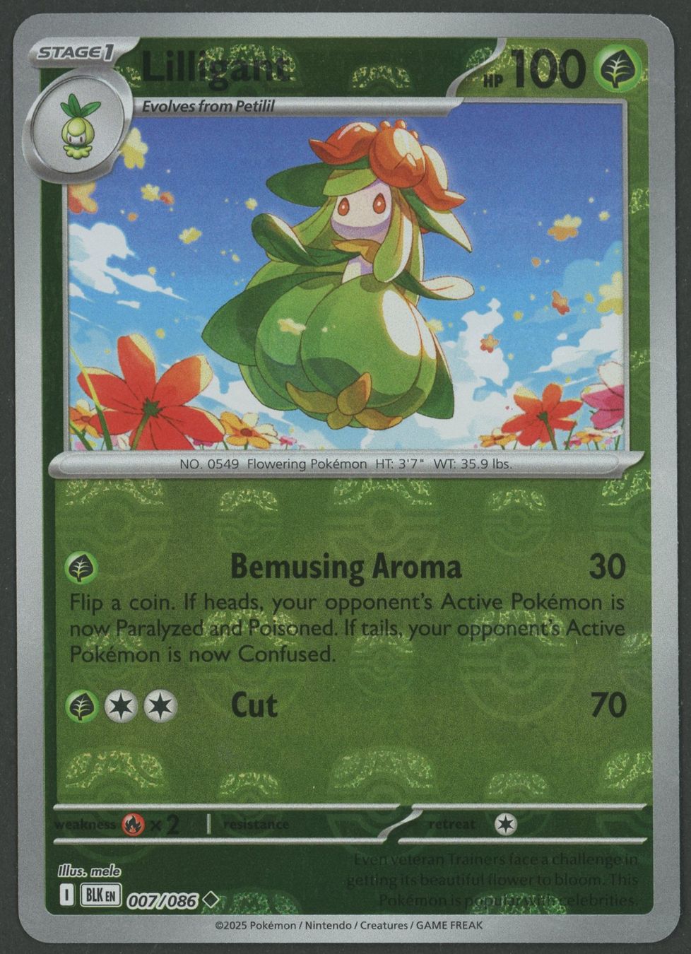 Pokémon Carte collezionabili: Lilligant Master Ball 007/086 Prismatic Evolutions EN ab 1.- – Usato da Rupperswil venduto da gengarbasar