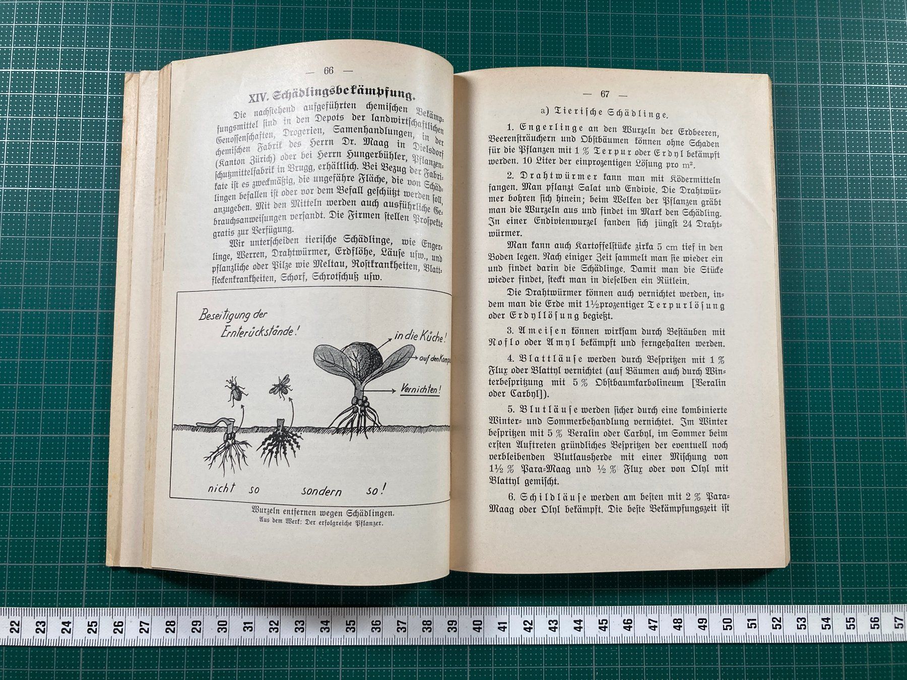 Bücher: J. Siegrist, Brugg: Der Gemüsegarten, 1943 – Gebraucht aus Lenzburg von fh1 8