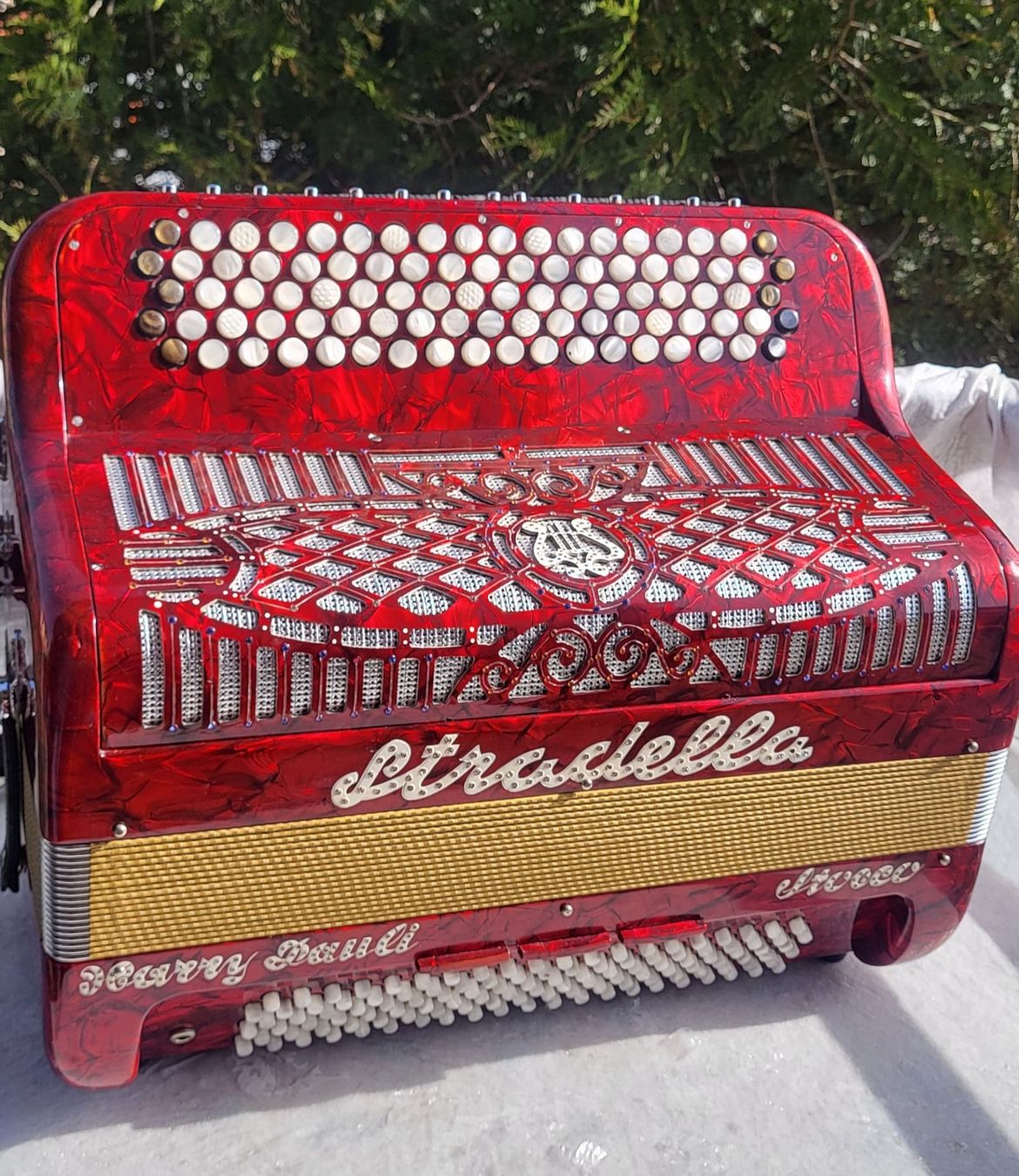 Strumenti musicali: Accordéon Stocco stradella  – Usato da Penthalaz venduto da EvandroLuz