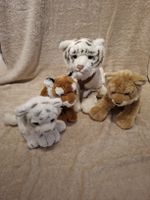 Plüschtiere; 3x Tiger, 1x Löwenbaby