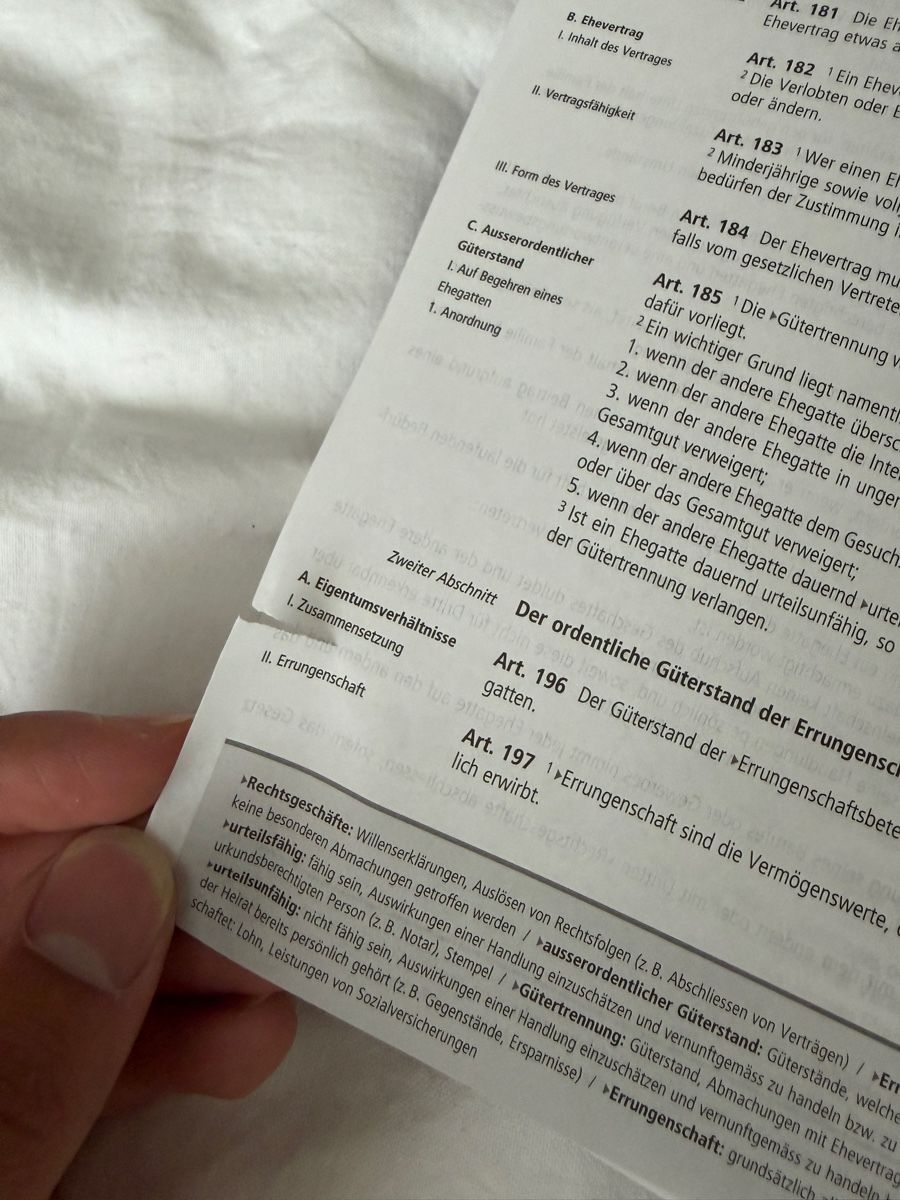 Libri: Gesetzessammlung 2025/2026 – Usato da Jona venduto da Flexer02 5