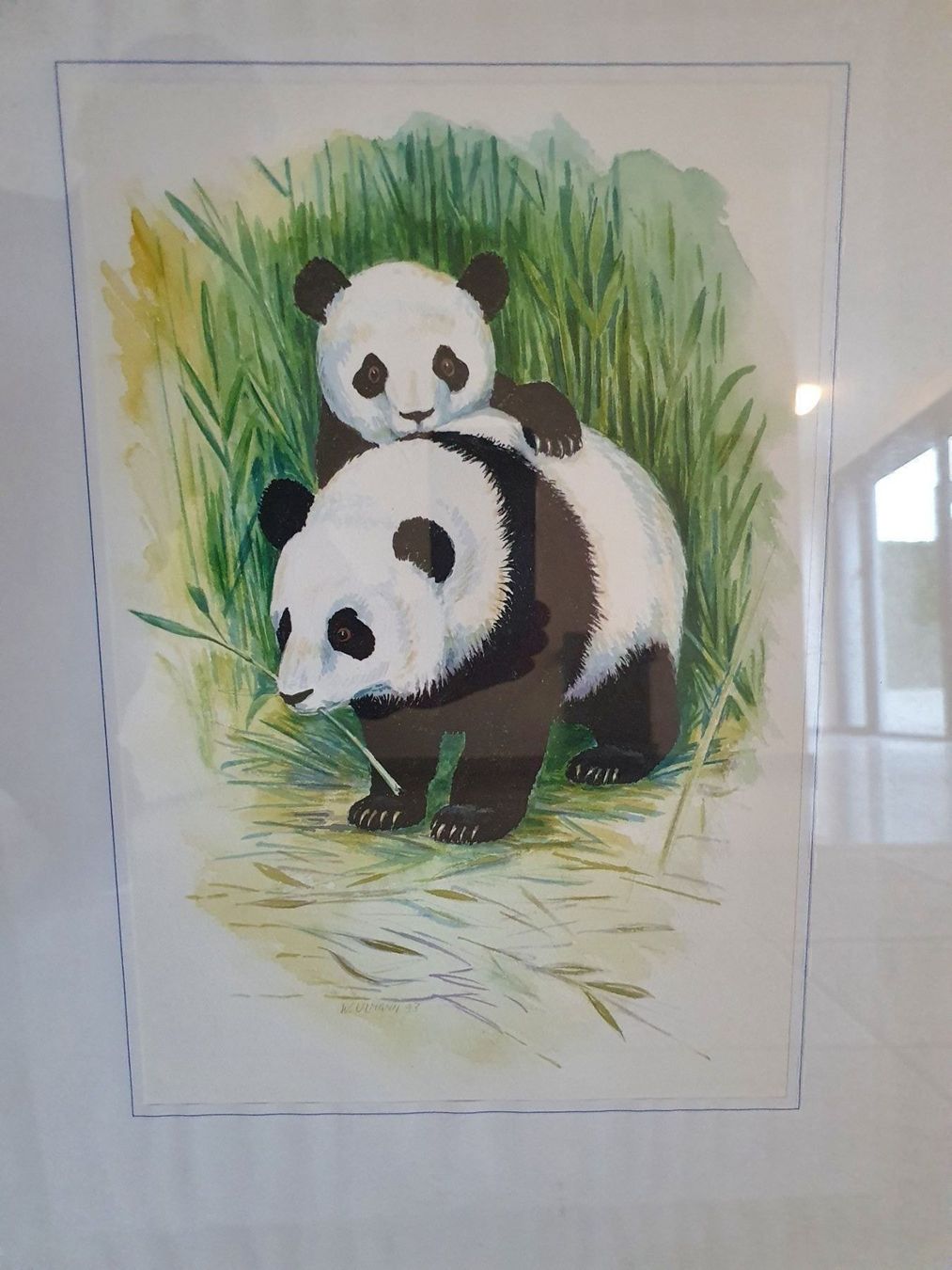 Dipinti: Bild Panda Bär mit Baby – Usato da Lachen SZ venduto da LinDiscount 1