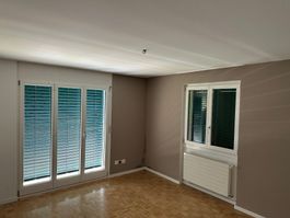 Ca. 20 Fenster Doppelverglasung Alu-Holz z. Selbstausbau