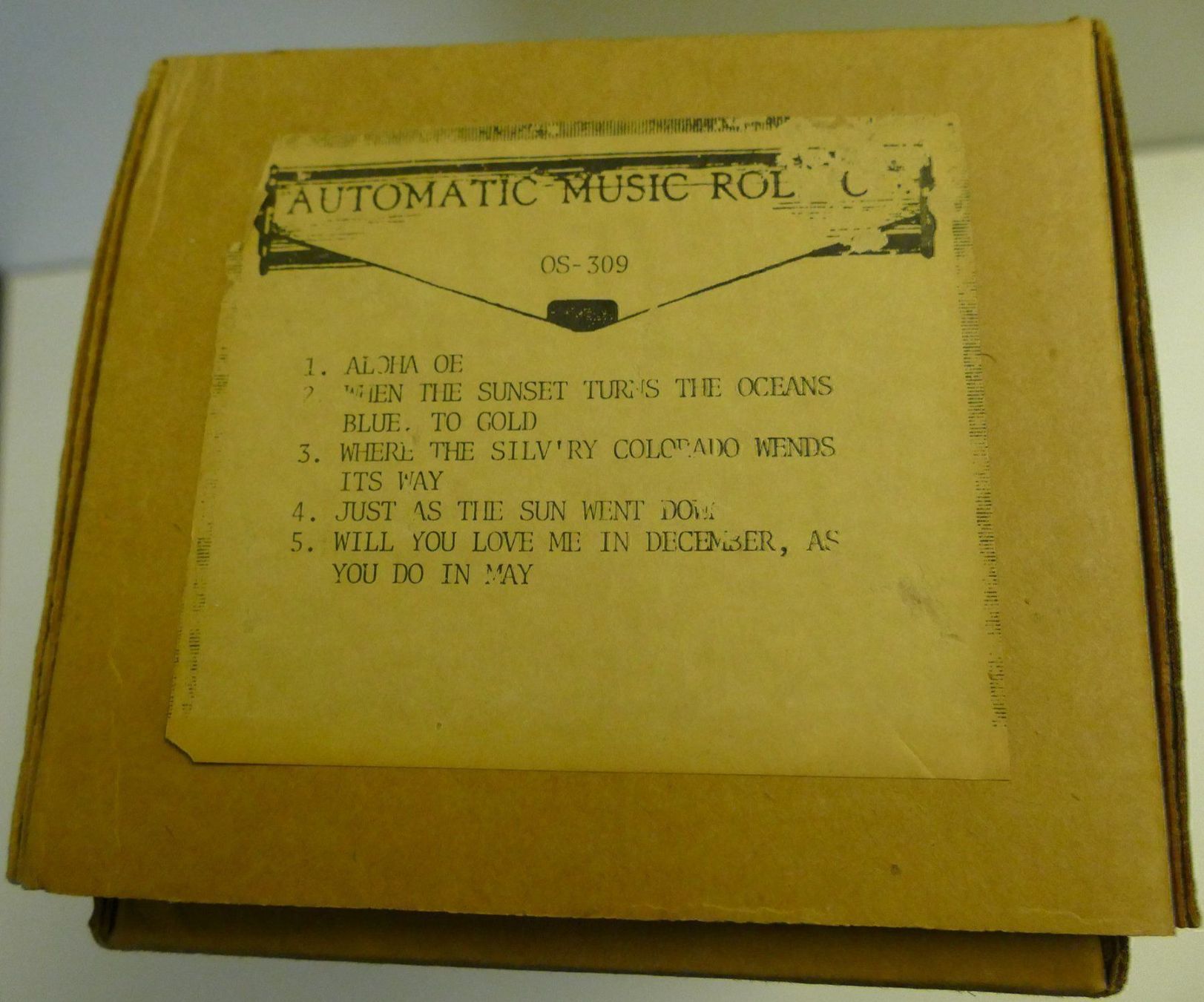 Strumenti musicali: Musikinstrument – Usato da Dietlikon venduto da kes_j6d7 3
