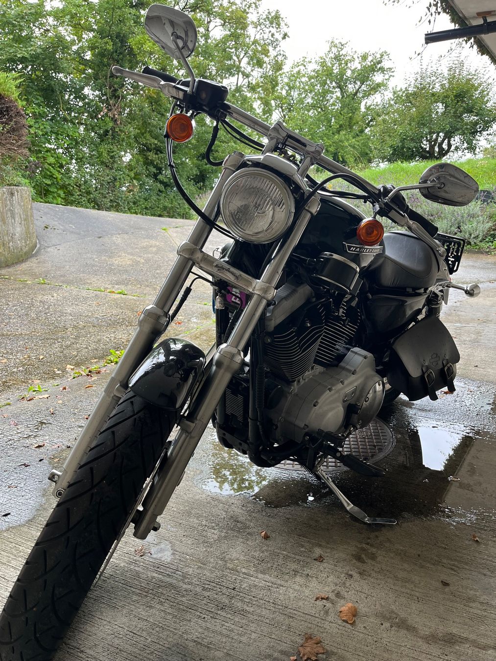 Harley-Davidson Chopper: Sportster zum Schäppchenpreis – Usato da Klingnau venduto da Thbe 2
