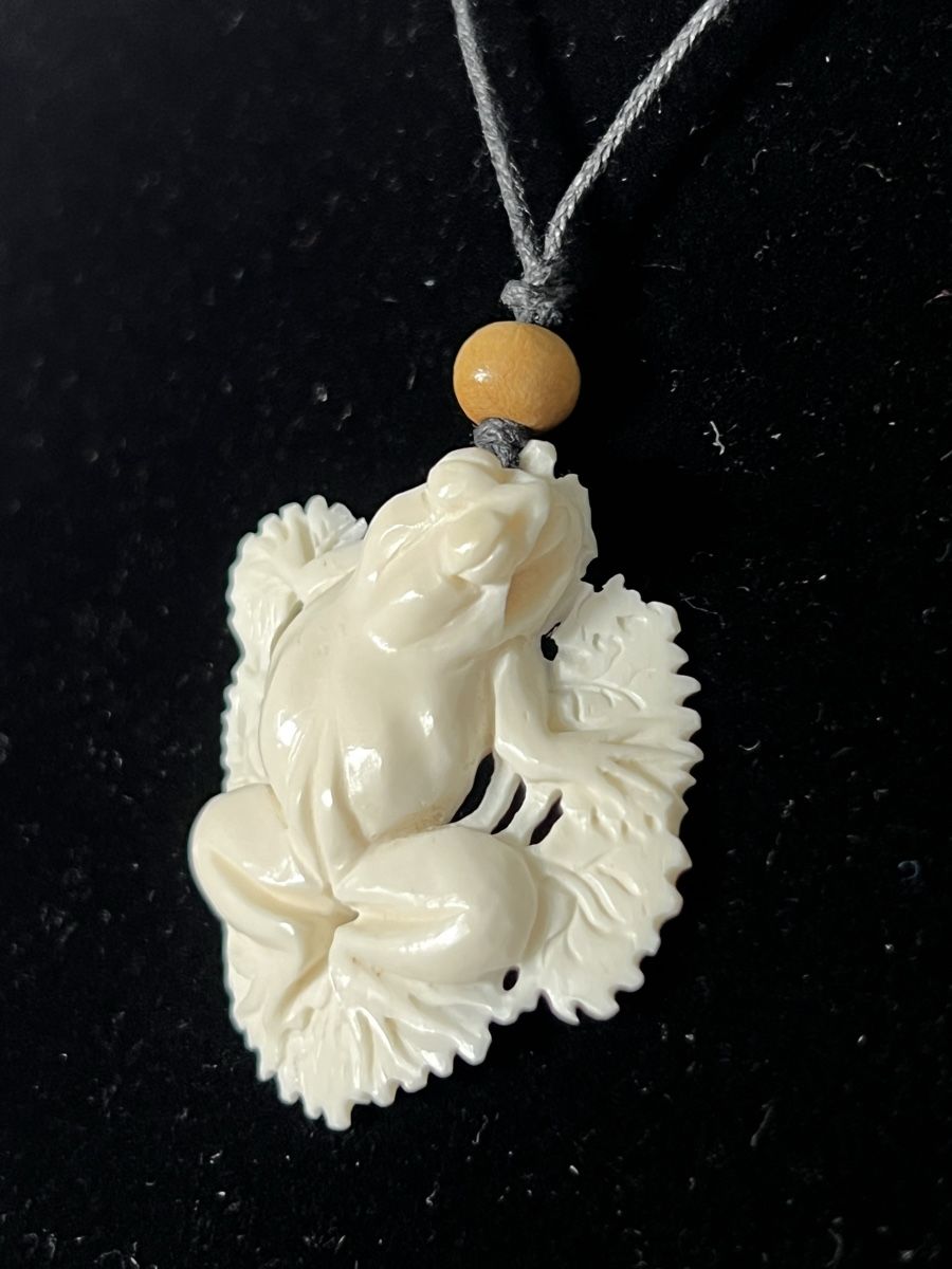 Catenine: Hand-Carved Bone Frog Pendant Necklace Frosch Knochen – Nuovo (secondo la descrizione) da Moehlin venduto da Balirain 6