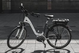 Bequemes E-Bike Bergamont E-Line 26" (Bosch / NuVinci)