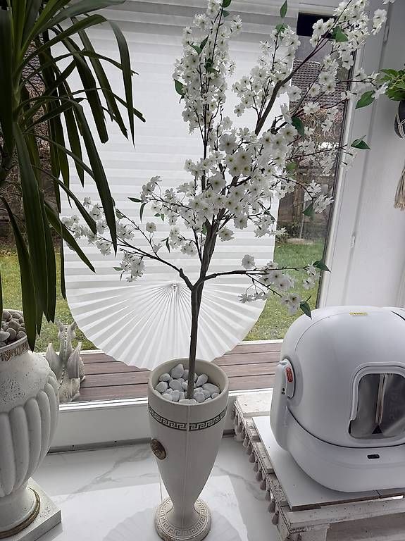 Vasi & Recipienti: pflanze mit römervase  – Usato da Adligenswil venduto da balboa5 4