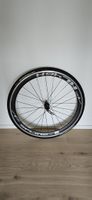DT swiss Spline RC46H
