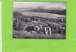 Blick vom Eichberg (Hallwilersee)