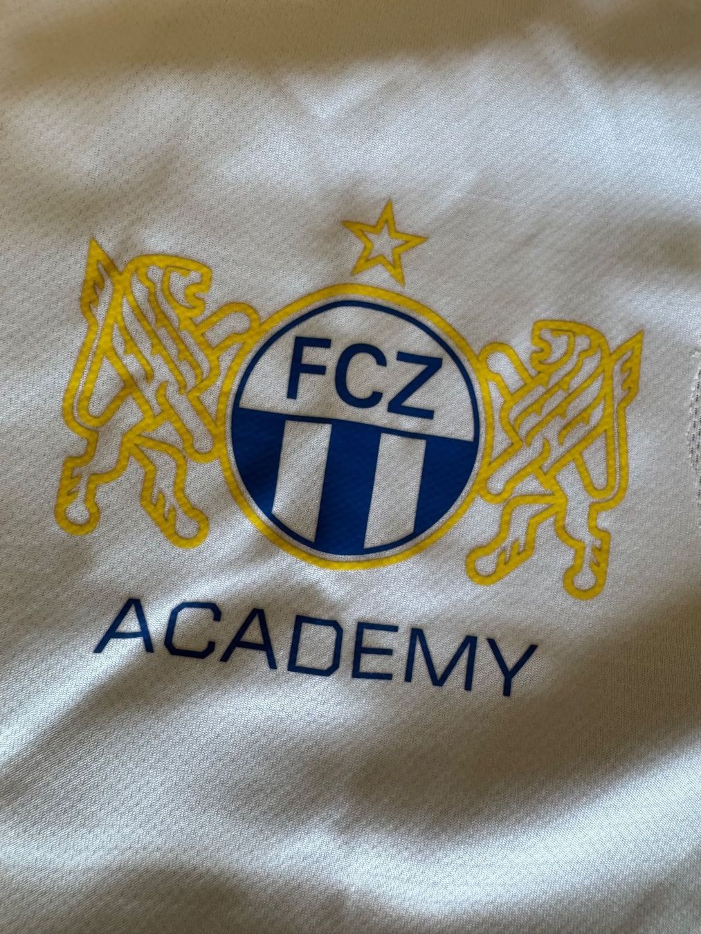 Nike Canottiere & Pantaloni: FCZ Academy Match shirt – Usato da Uerikon venduto da Petersli 2