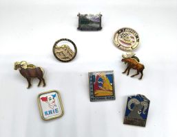 Lot Pins 8 Stück