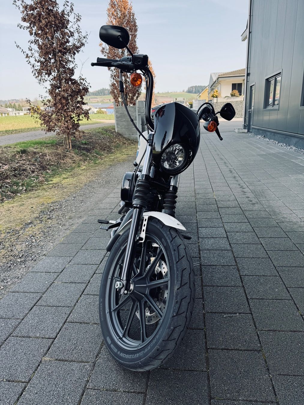 Harley-Davidson Chopper: Harley-Davidson Sportster XL 1200NS – Usato da Buchs ZH venduto da manu0123 2
