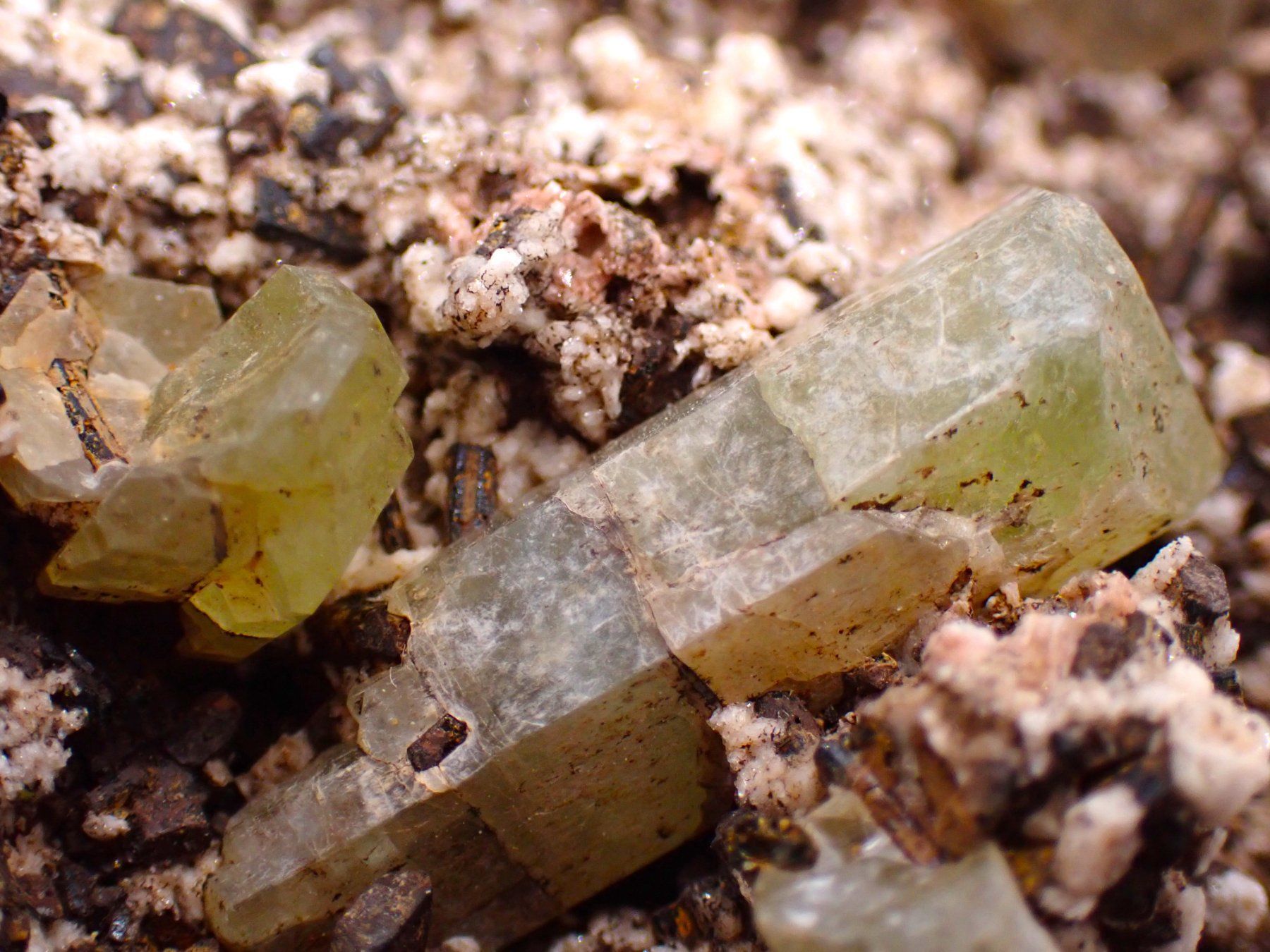 Minerali & Pietre curative: Lustrous, Yellow Apatite Crystals - Morocco – Usato da Figino venduto da minshop