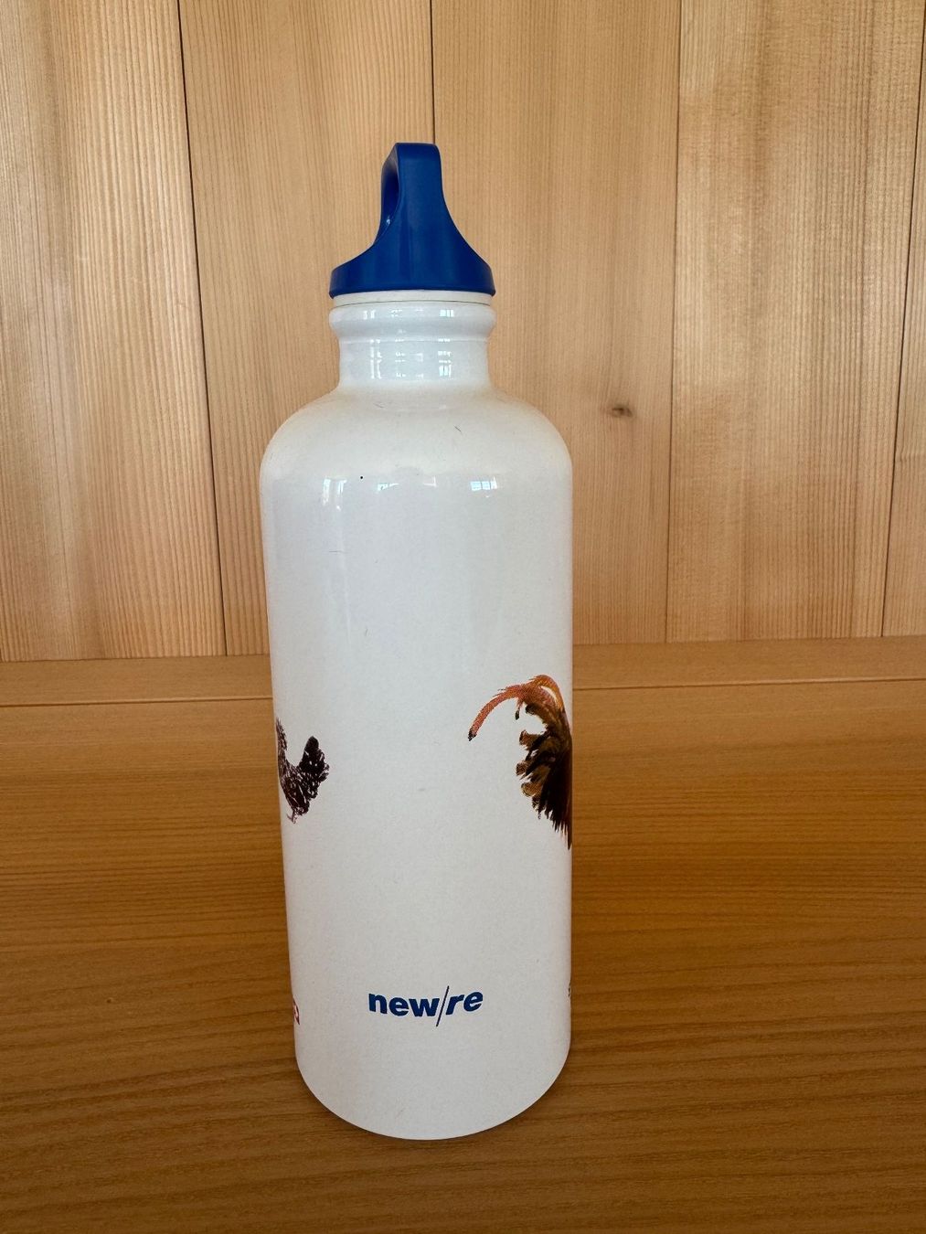 Sigg Borracce & Thermos: Trinkflasche SIGG - Durchmesser 7cm – Nuovo (secondo la descrizione) da Rombach venduto da MarkusJohannes 1