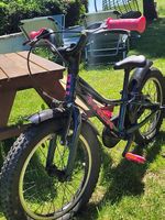 VTT enfant Trek 16 pouces 
