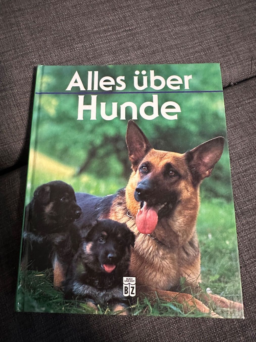 Libri: Alles über Hunde – Usato da Schaan venduto da Hermine2018