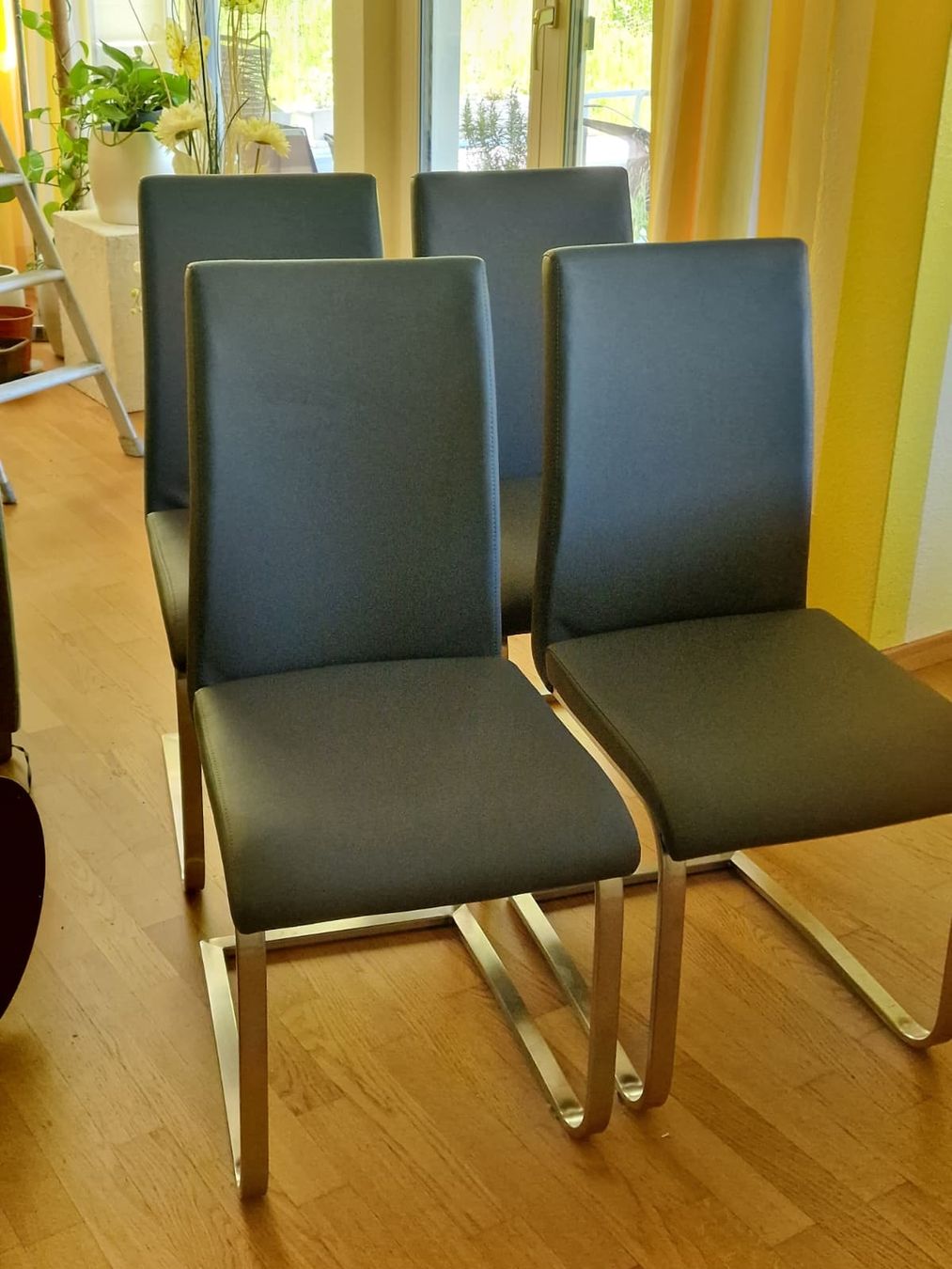 Sedie: 4x Stühle  – Usato da Richterswil venduto da NicolasKundert