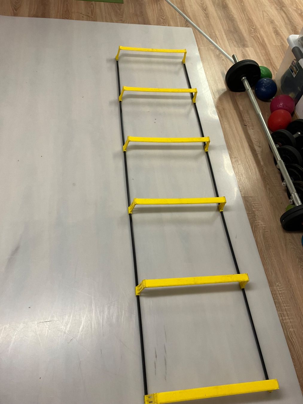 Hometrainer: SKLZ Step ladder – Usato da Malvaglia venduto da mam1968