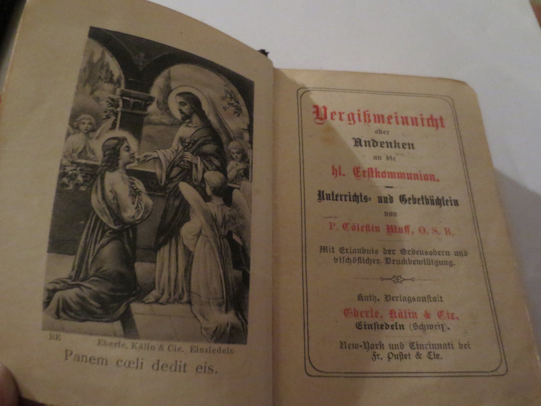 Libri: Vergissmeinnicht oder Andenken 6.2.1892 – Usato da Männedorf venduto da Livingston 1