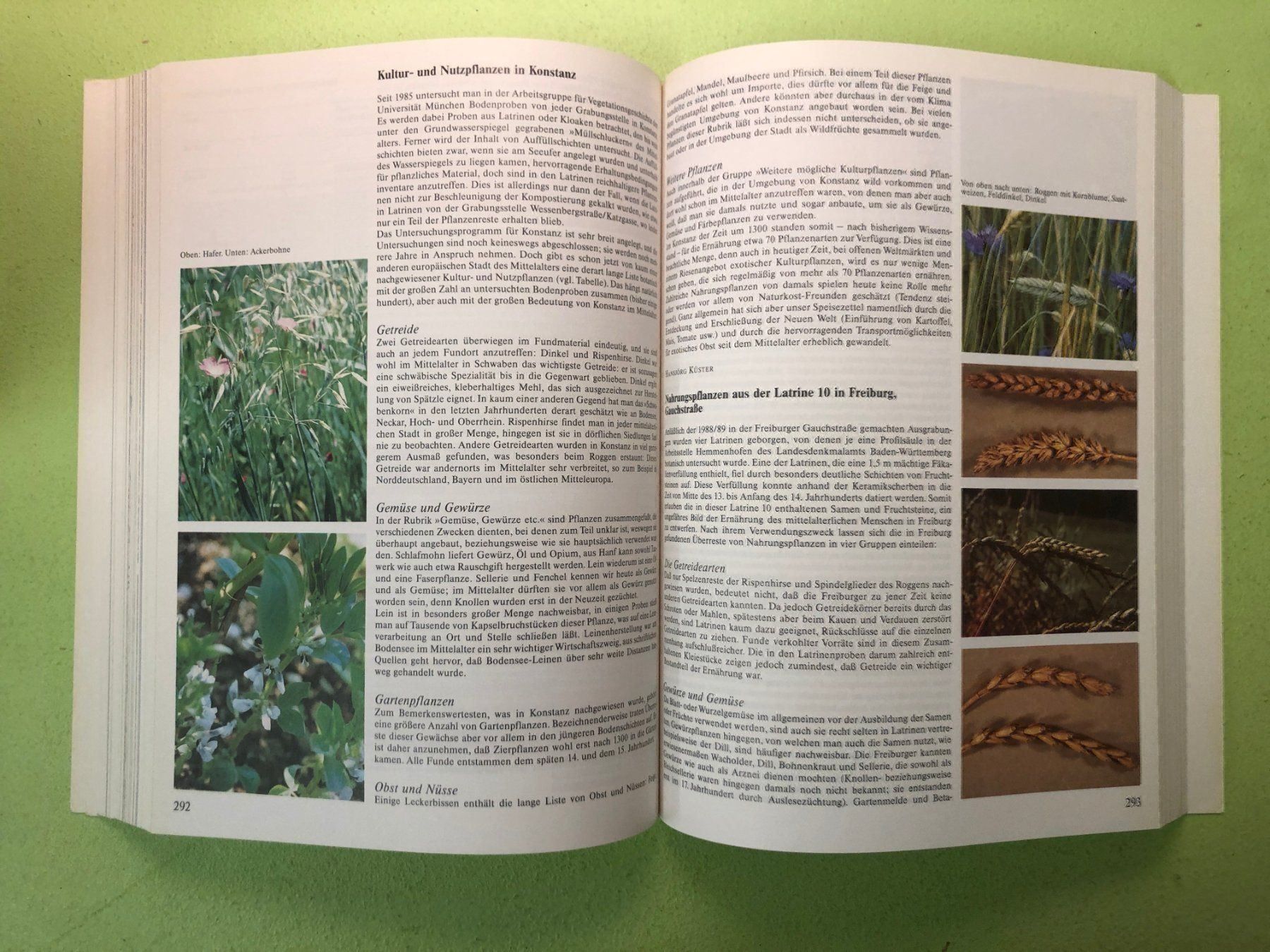 Libri: Stadtluft, Hirsebrei und Bettelmönch. – Usato da Zürich venduto da allp 7