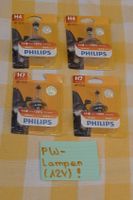 PW-Lampen (12V)!