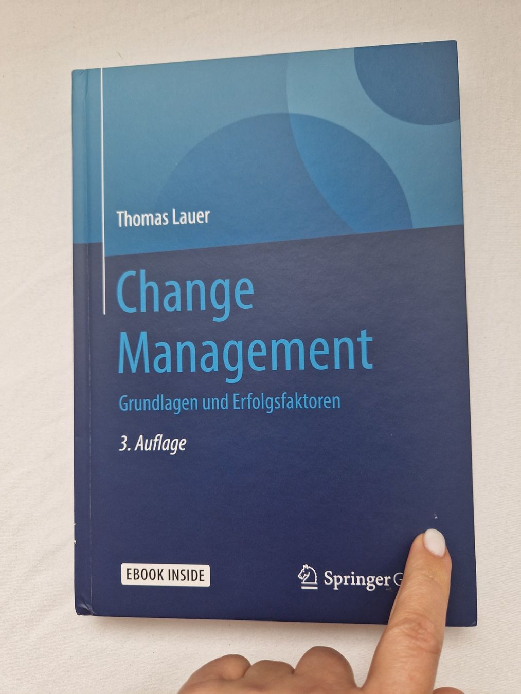 Libri: Change Management - Thomas Lauer – Usato da Erlinsbach SO venduto da ULIKH 7