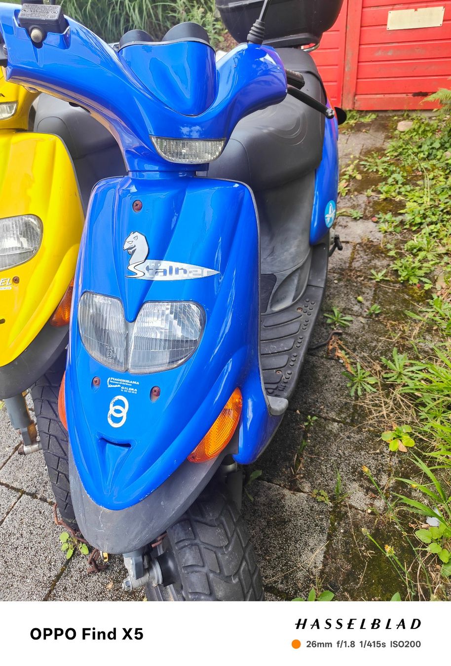 Gilera Scooter: Gilera Stalker, 49ccm, blau, JG 2004 – Usato da Pieterlen venduto da Wilhelm