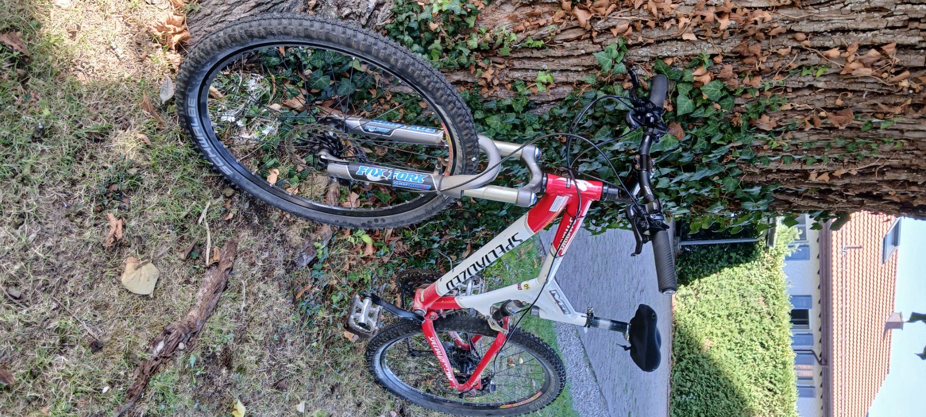 Biciclette: Mtb Specialiced – Usato da Gossau SG venduto da pluto69