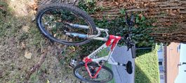 Mtb Specialiced