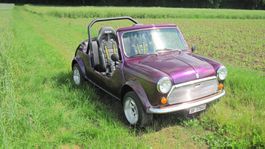 Sommerfeeling: Einzigartiger Mini Buggy