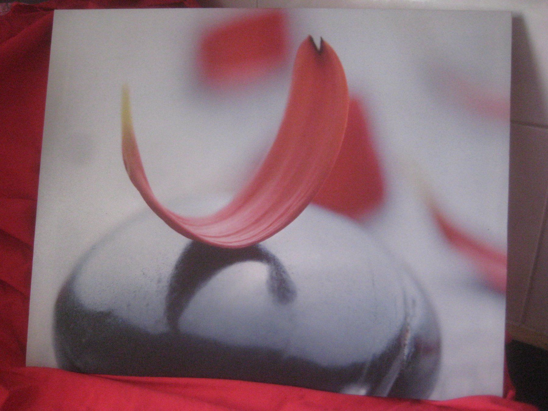 Posters & Illustrations: LEINWAND  BILD – Neuf (Voir description) à Uster par flocke1