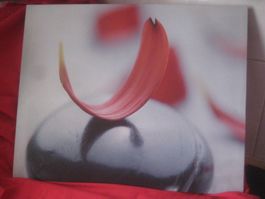 LEINWAND  BILD