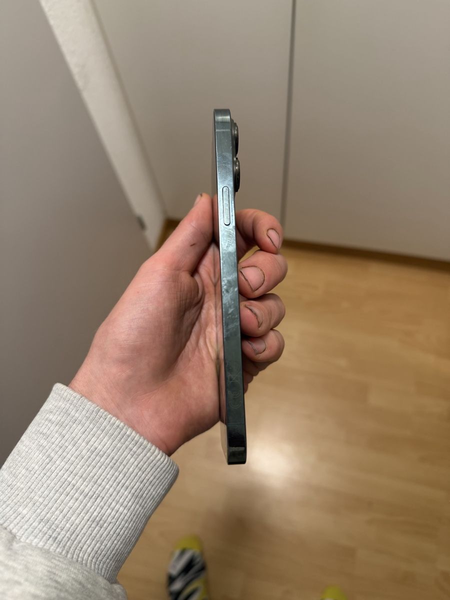 Apple iPhone 13 Pro Max Alpine Green in gutem Zustand (Gebraucht) in ...