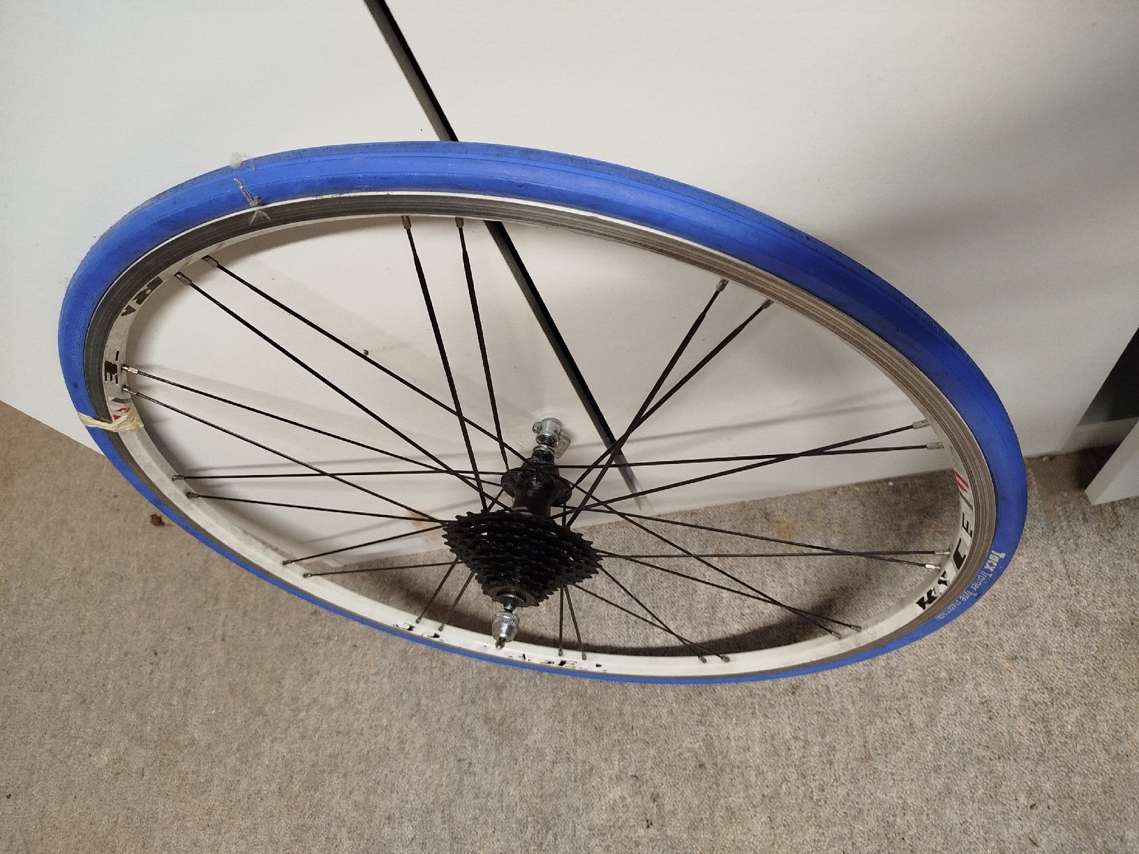 Pneumatici & Ruote complete:  Tacx Hinterradreifen – Usato da Züberwangen venduto da Bbaron