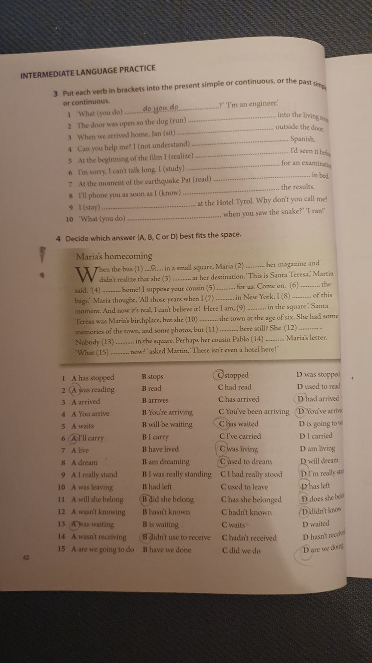 Libri: Intermediate Language Practice: English Grammar & Vocabulary – Usato da Bitsch venduto da cka_6hff 5