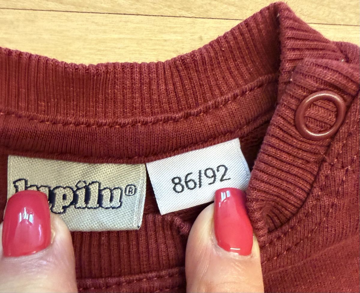 Lupilu Pulls et sweat-shirts: Pullover Kinder Grösse 86/92 LUPILU Bären Motiv – D'occasion à Lyss par Sibella56 1